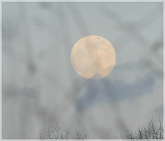 Pleine Lune du 8 Février 2020