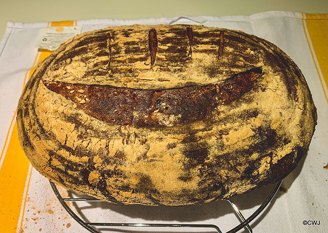 Sourdough baking