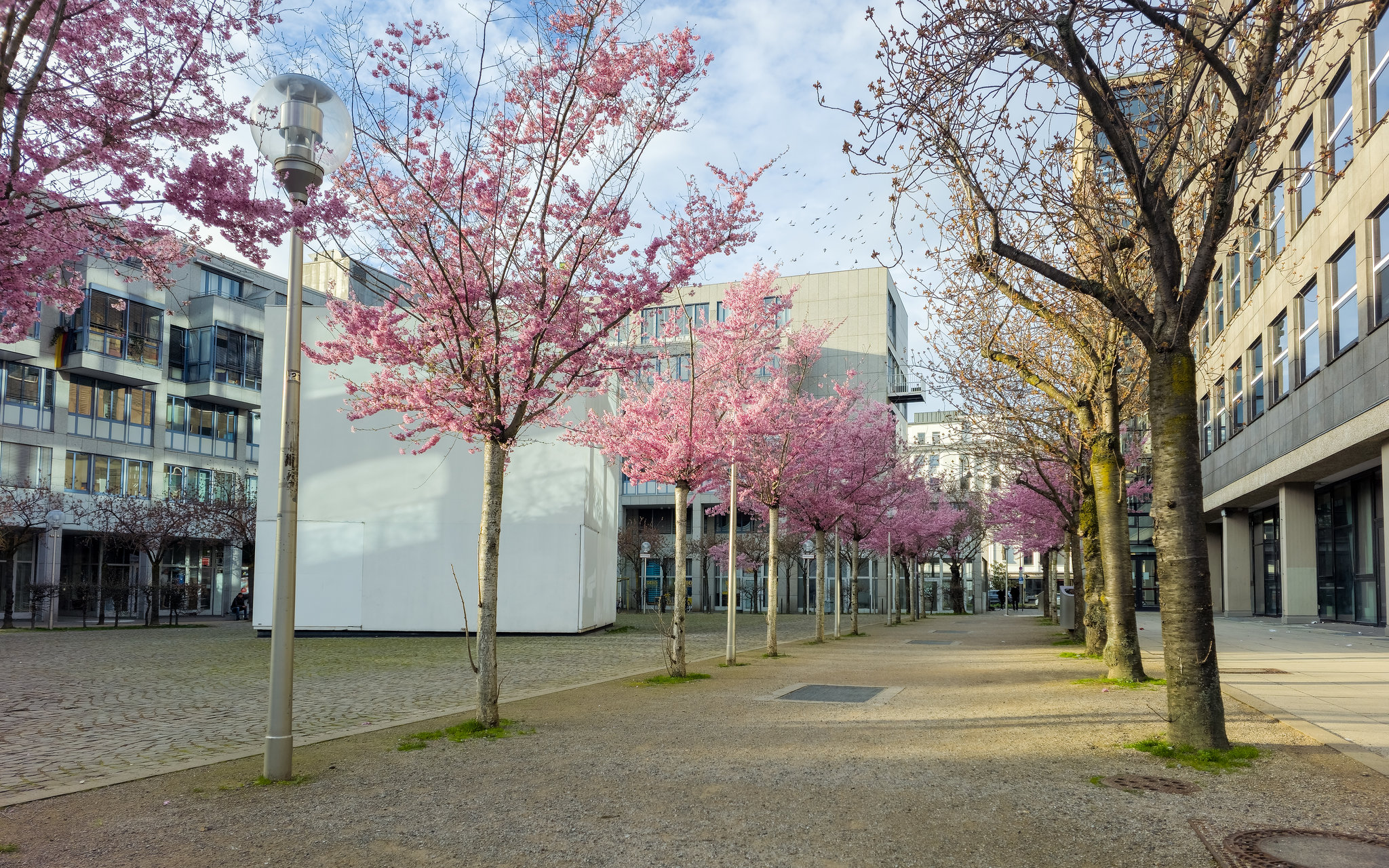 Köln - Josef-Haubrich-Hof