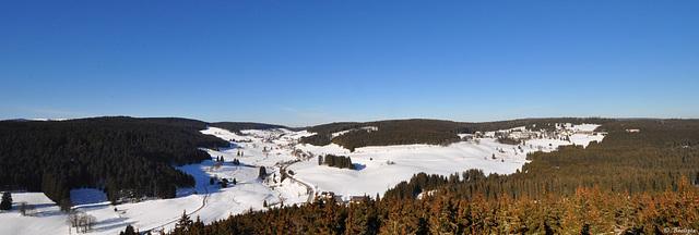 Aussicht vom Riesenbühlturm (© Buelipix)