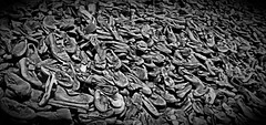 Auschwitz- Victims' Shoes