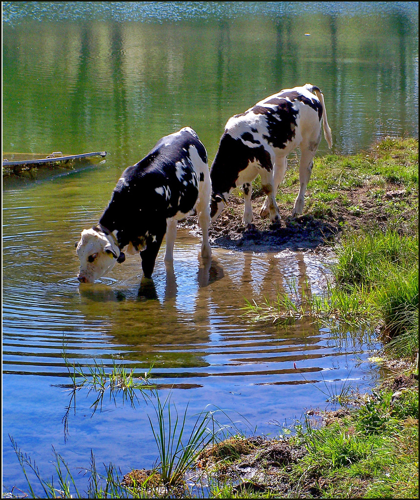 Sauze d'Oulx : dissetarsi al lago di Laune -