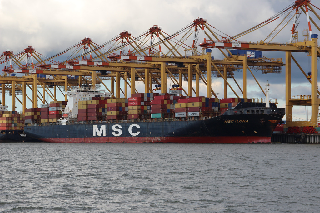 MSC ILONA