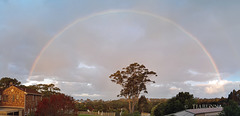 Before the main rains