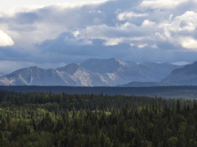 Where the Mountains Begin