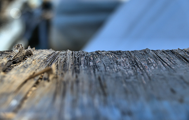 Having fun with focus!!