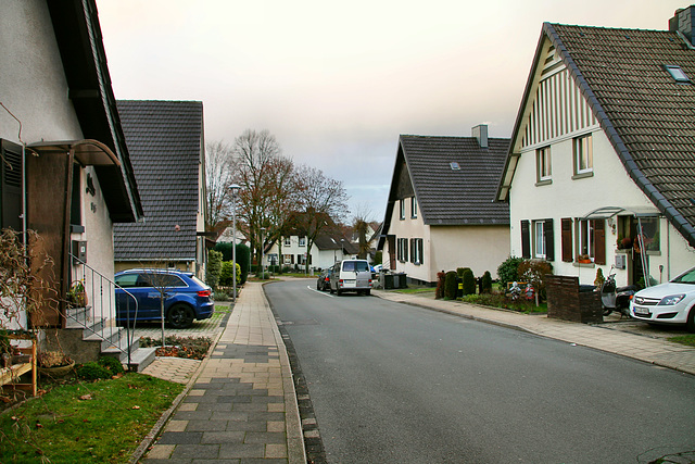 Sechs-Schwestern-Straße (Siedlung Dahlhauser Heide, Bochum-Hordel) / 14.01.2019