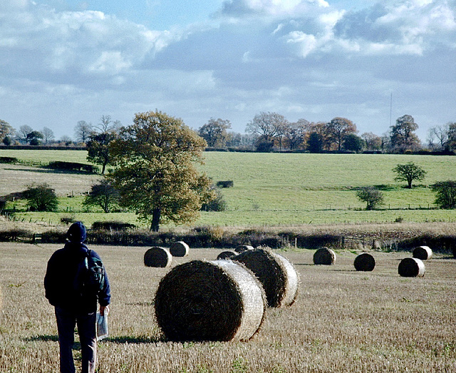 Crossing the fields near The Abnalls.