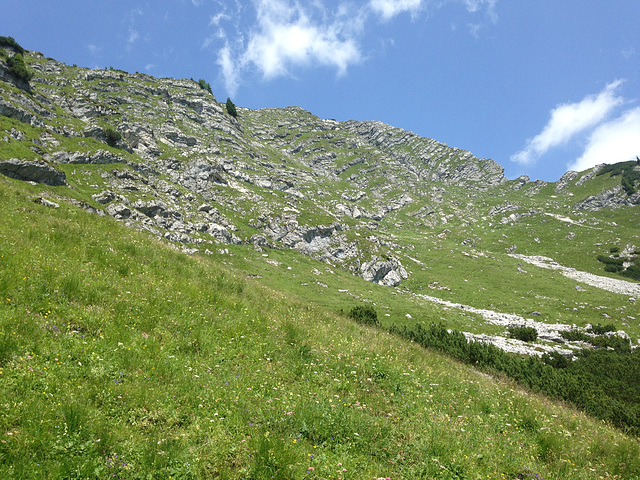 Alpen 2015 226