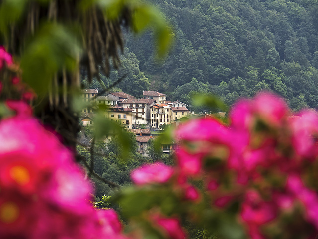 The village of Sassaia, Biella, between the colors