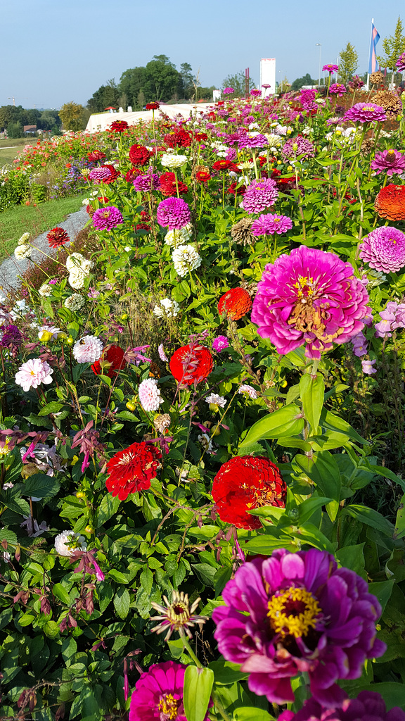 Landesgartenschau 2016