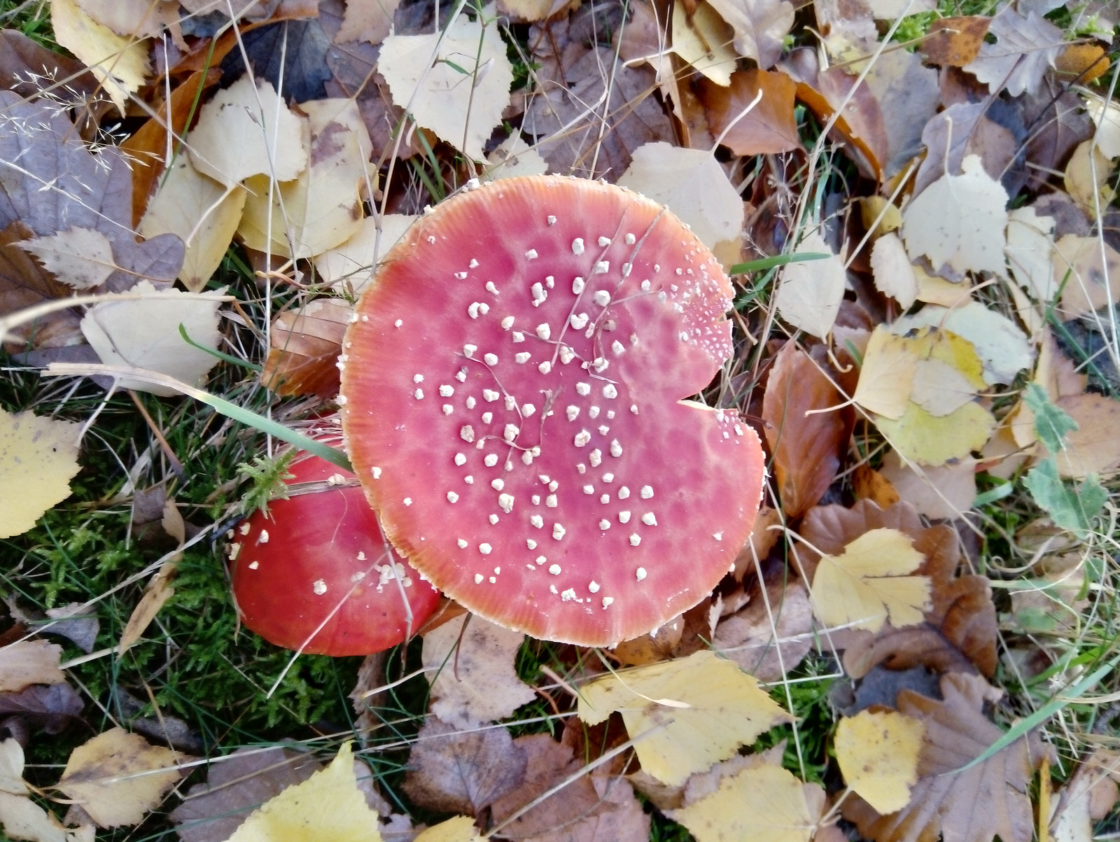 Taunus, Hessen