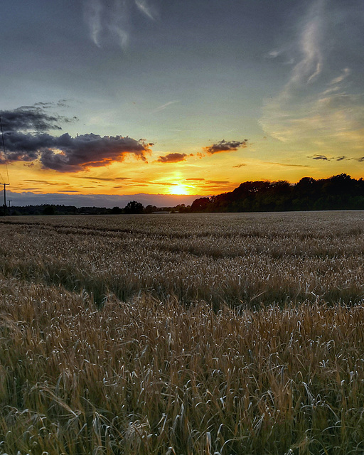 Cycling sunset (2)