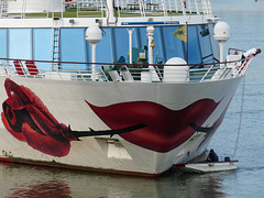 Novi Sad- Cruise Ship Seduction