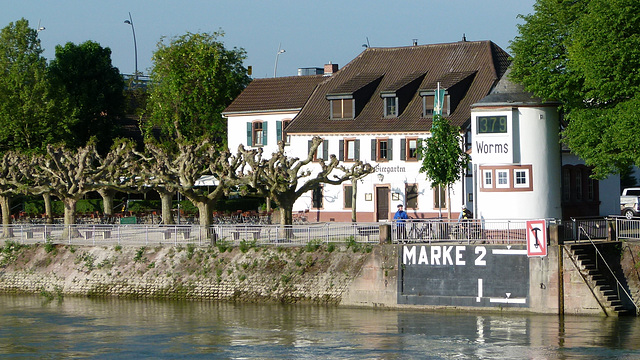 Biergarten im Weinland