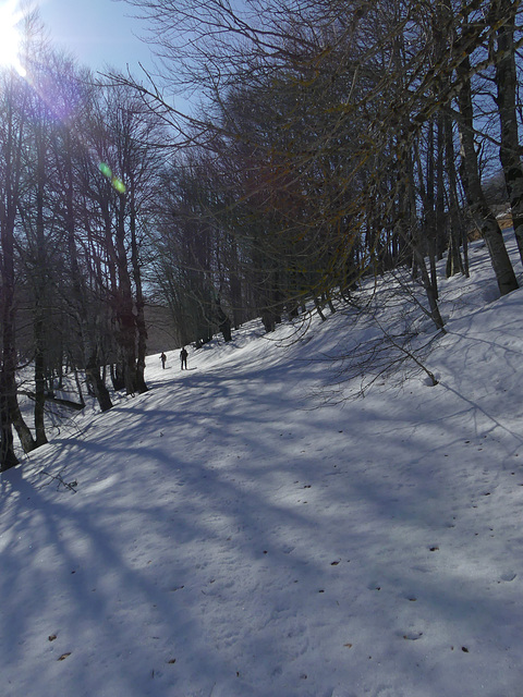 20190224 Raquettes plateau d'Ambel (66) al