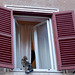 #32 - Daniela Brocca - Rome moderators meeting 2012-Window with cat - 5̊ 4points