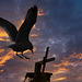 Black-Headed Gull Landing on a Mast