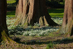 Im Botanischen Garten