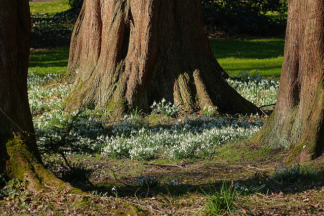 Im Botanischen Garten