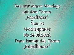Pause Kabelbinder der Gruppe "Macro Mondays"