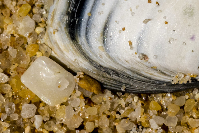 Saturn in the Sand