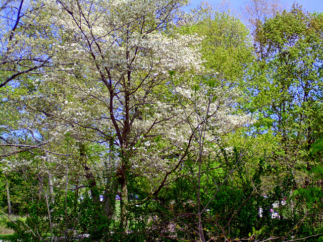 Stony Creek Nature Center