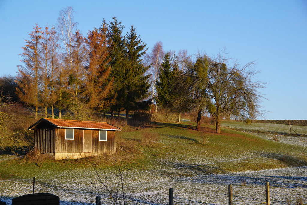 Eisiger Januarmorgen in Hörden