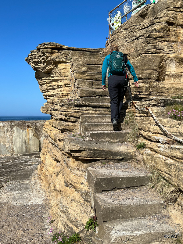 Climbing up to the site of the Pictish fort from the harbour.