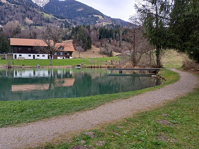 Montjolerweiher  Spiegelung