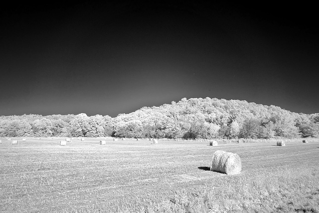 Hay mowed and baled, autumn is coming