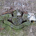 st. marylebone / east finchley cemetery, london