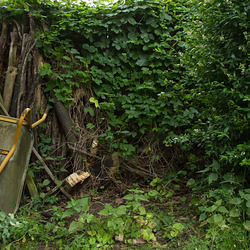 After work After work