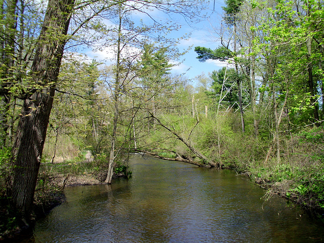 Stony Creek Nature Center