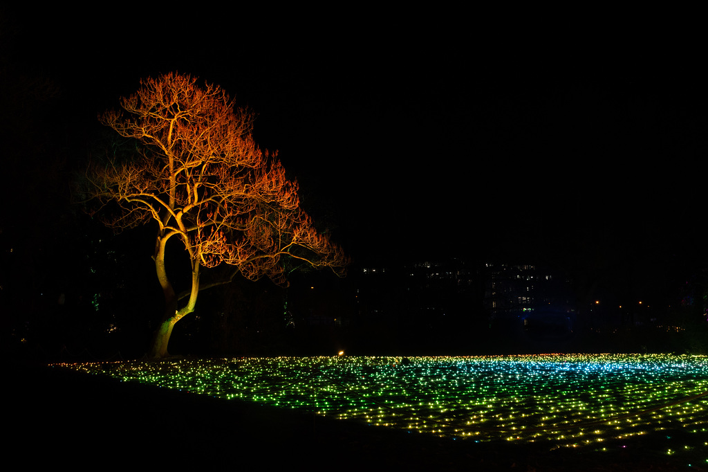 Kölner Zoo - Christmas Garden