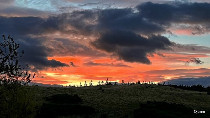Winter dawn skies