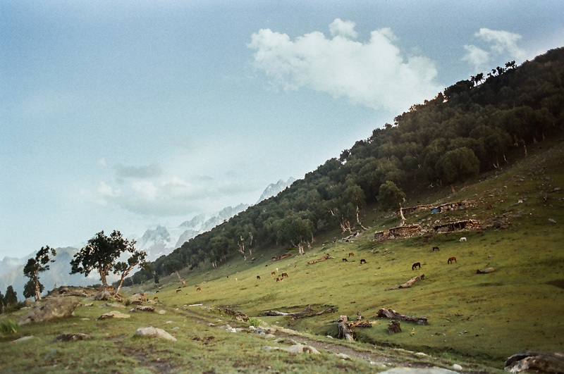 Shekdur meadows