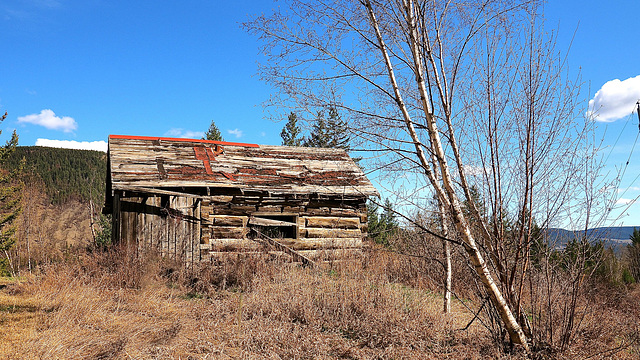 Near the Fraser River.