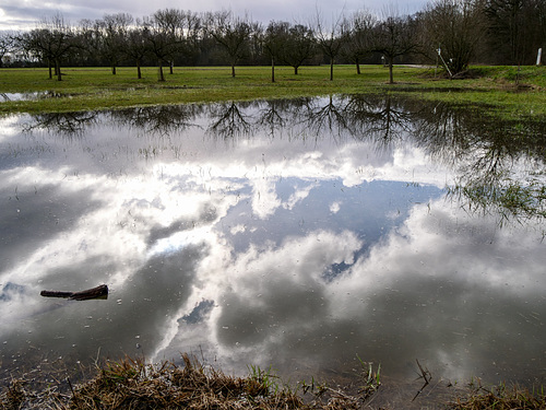 floods in Alsace