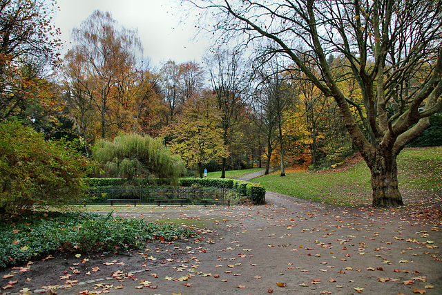 Herbstlicher Park "Gräfrather Heide" (Solingen) / 16.11.2017