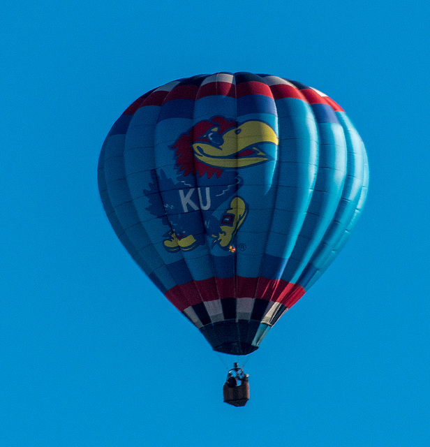 Albuquerque balloon fiesta8