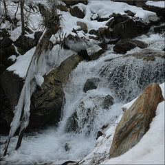 Along the frozen creek.