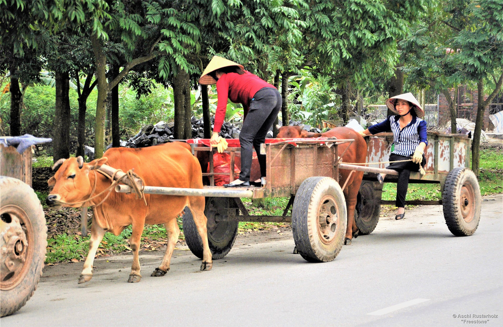 Vietnam 2016 / Tam Coc