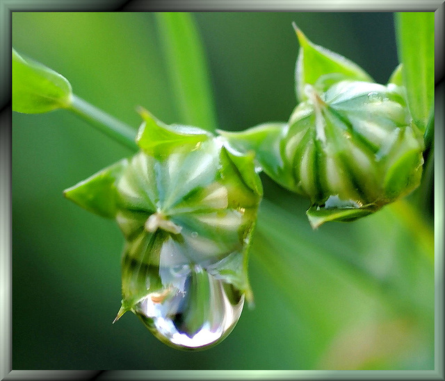 Wassertropfen... ©UdoSm