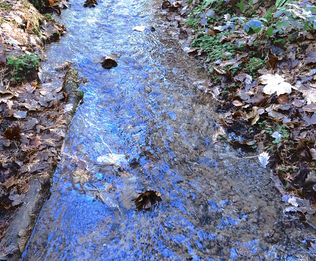 In the blue ditch morning