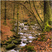 Stock Ghyll, Ambleside