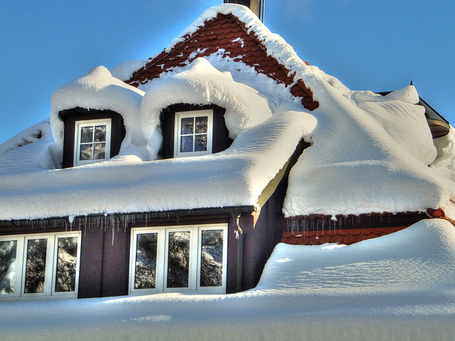 Gauben mit Schneehut. ©UdoSm