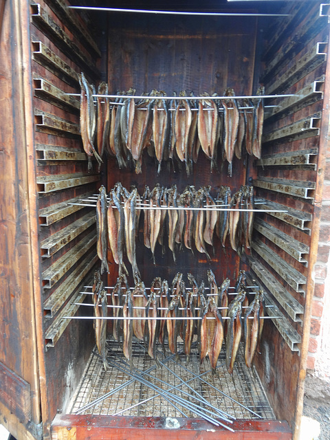 Smoked Herrings (Kippers)