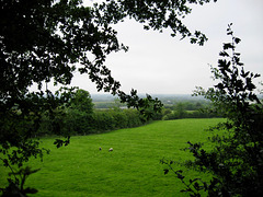 View from the edge of Banktop Wood