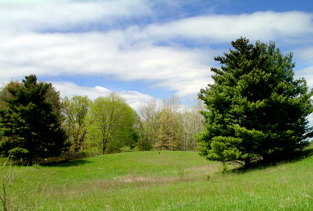 Stony Creek Nature Center